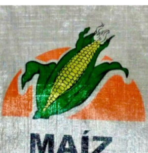 Captura de pantalla 2024-06-04 115910